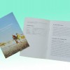 供應(yīng)彩箱彩盒、手冊(cè)說(shuō)明書、畫冊(cè)印刷、折頁(yè)、廣告牌