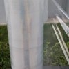 湖北纏繞膜的價(jià)格,武漢拉伸膜,纏繞膜批發(fā)及生產(chǎn)廠家