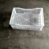 葡萄周轉(zhuǎn)筐，臨沂塑料葡萄筐，葡萄筐生產(chǎn)廠家